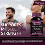 WELLNESS LABSRX Urolithin A supplement bottle with measurement
