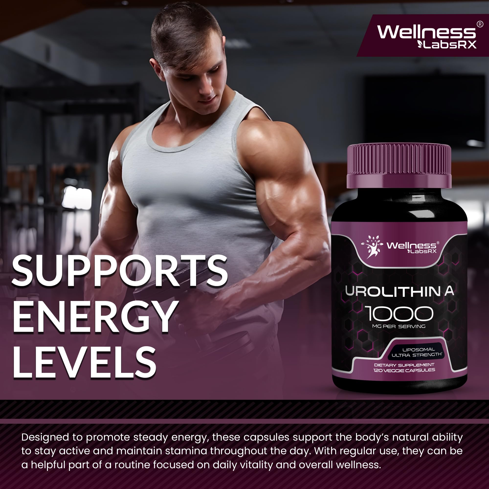 WELLNESS LABSRX Urolithin A supplement ingredients list