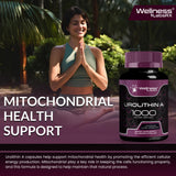 WELLNESS LABSRX Urolithin A supplement lifestyle scene