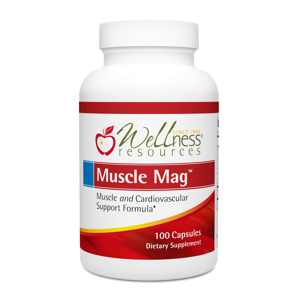 Wellness Resources Magnesium Supplement 100 capsules front view