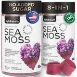 Wellneum Sea Moss Gummies front view with packaging