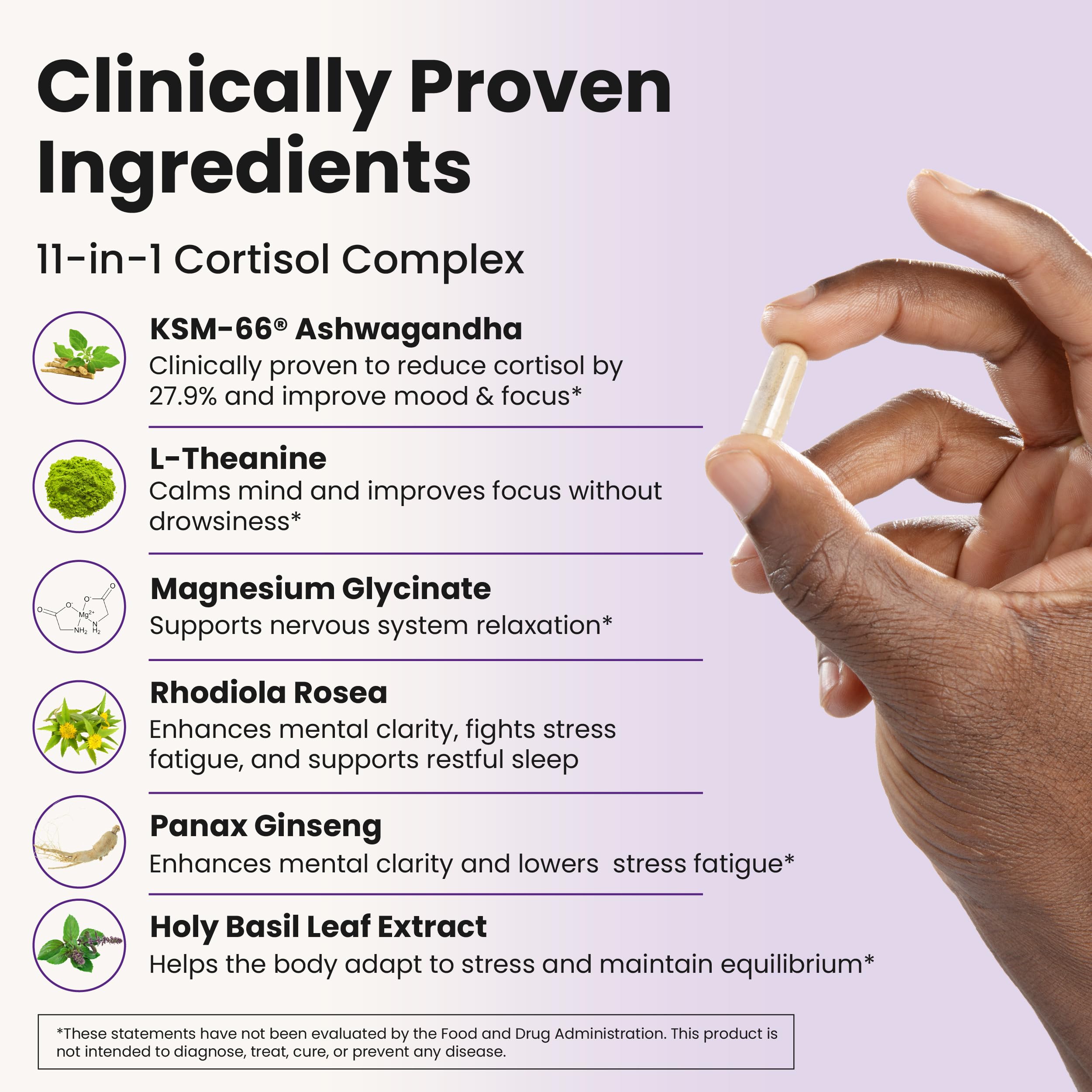 WellPath Ashwagandha Supplement ingredients list