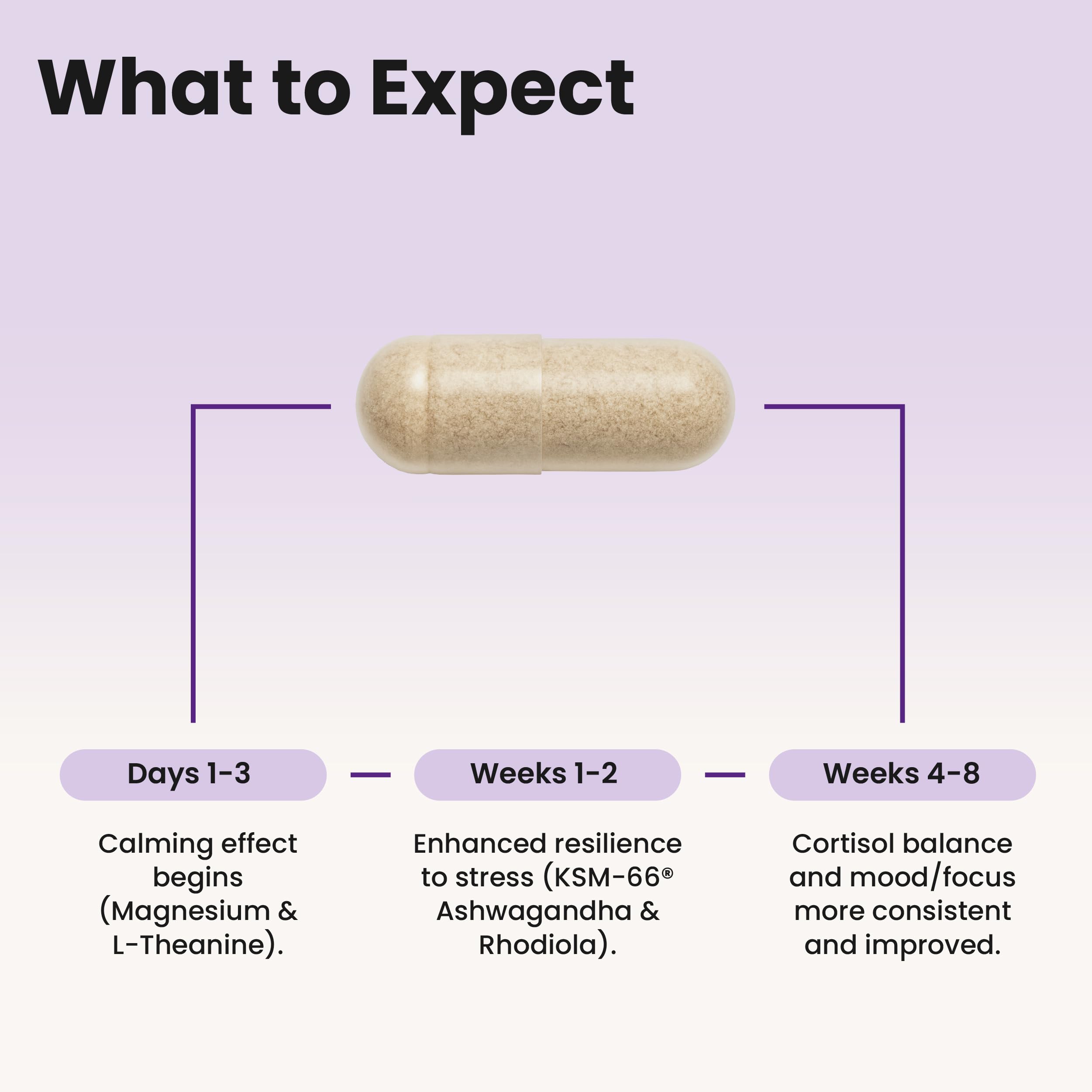 WellPath Ashwagandha Supplement packaging details