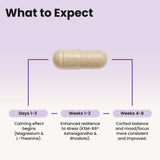 WellPath Ashwagandha Supplement packaging details