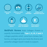 WellPath RENEW Multi Collagen Protein Powder in a smoothie