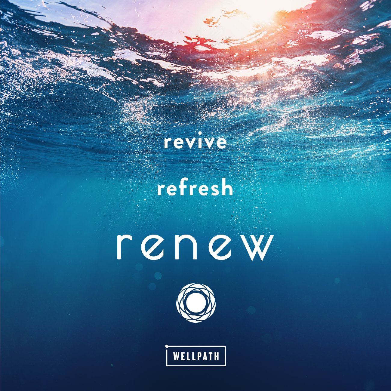 WellPath RENEW Multi Collagen Protein Powder serving suggestion
