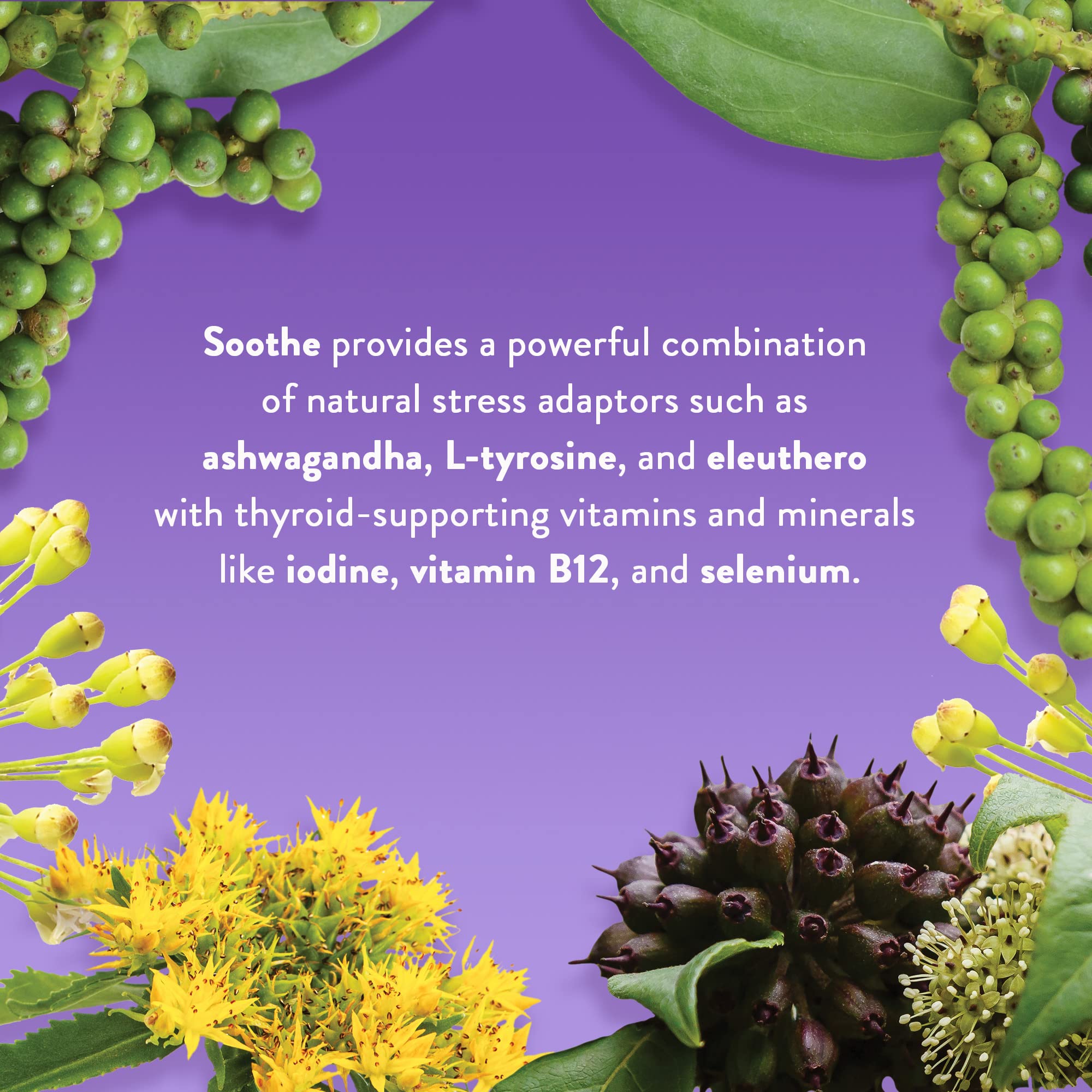 WellPath Thyroid & Adrenal Support Supplement ingredients list