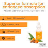 WellPath Turmeric Liquid Drops 1950mg side view