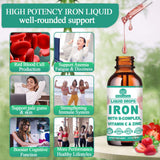 WellVeraVida Liquid Iron Supplement label showing ingredients and dosage