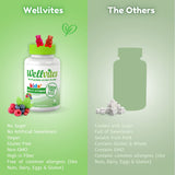 Wellvites Kids Multivitamin Gummies back view with ingredients list