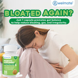 WELMATE Multi-Enzyme Supplement capsule close-up