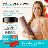 WELVIUM Magnesium Glycinate Gummies back view showing ingredients