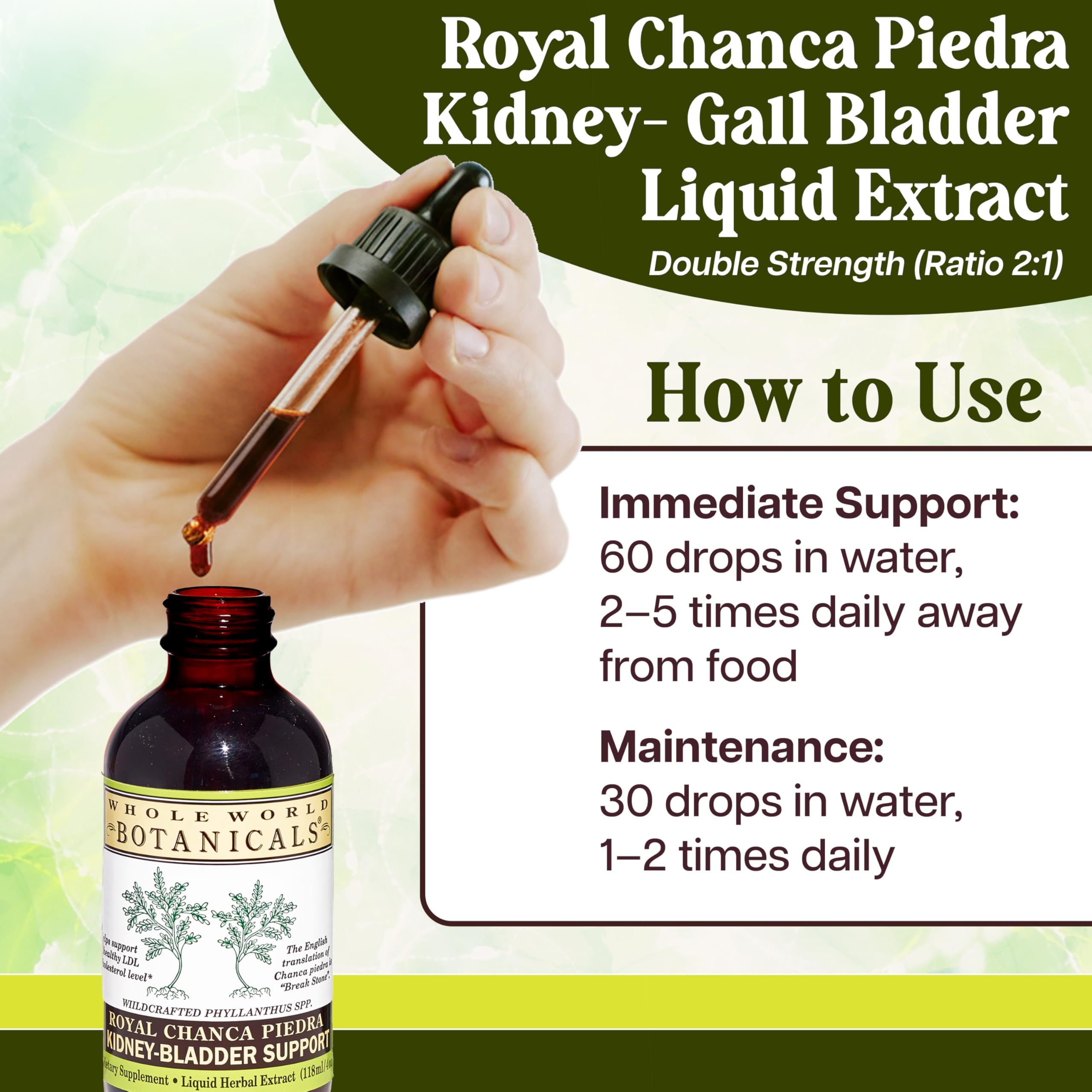 Whole World Botanicals Chanca Piedra Liquid Extract back view