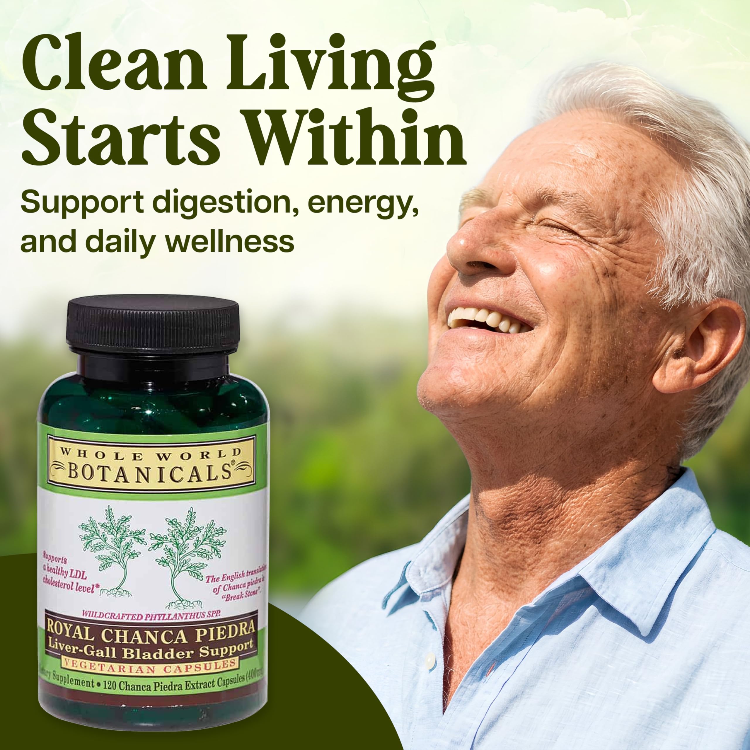 Whole World Botanicals Chanca Piedra Liquid Extract in natural setting