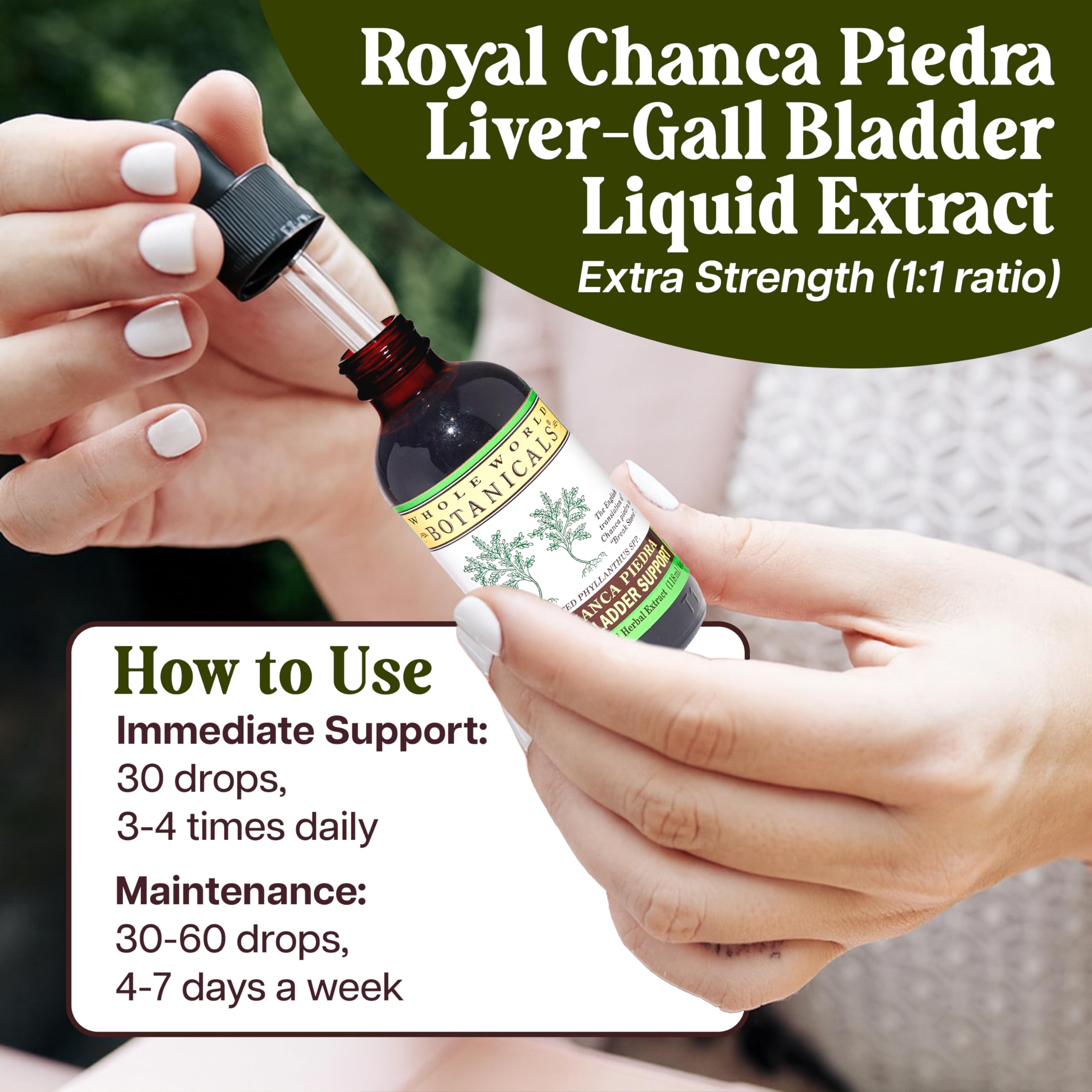 Whole World Botanicals Chanca Piedra Liquid Extract ingredients list