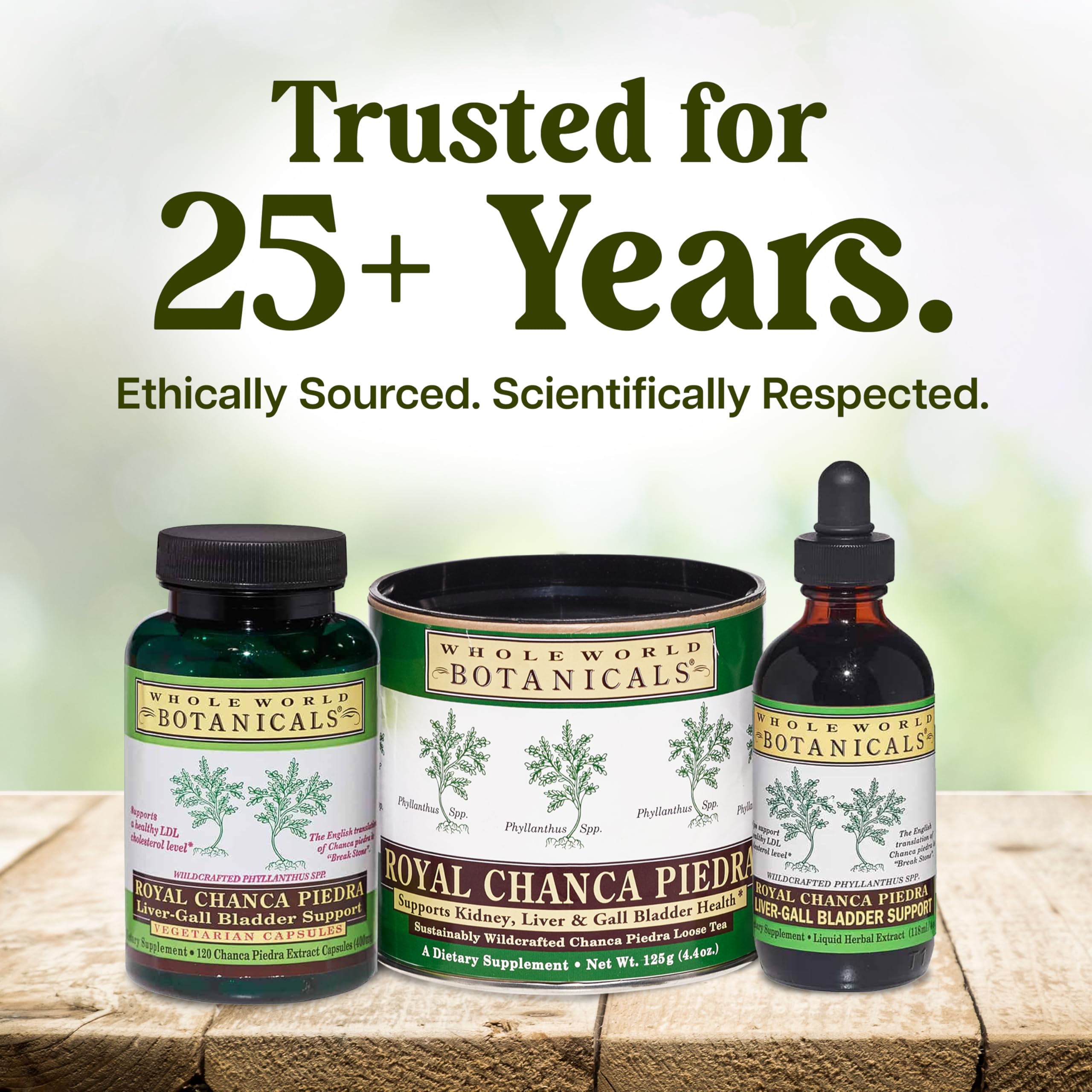 Whole World Botanicals Chanca Piedra Liquid Extract label close-up