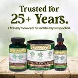 Whole World Botanicals Chanca Piedra Liquid Extract lifestyle scene
