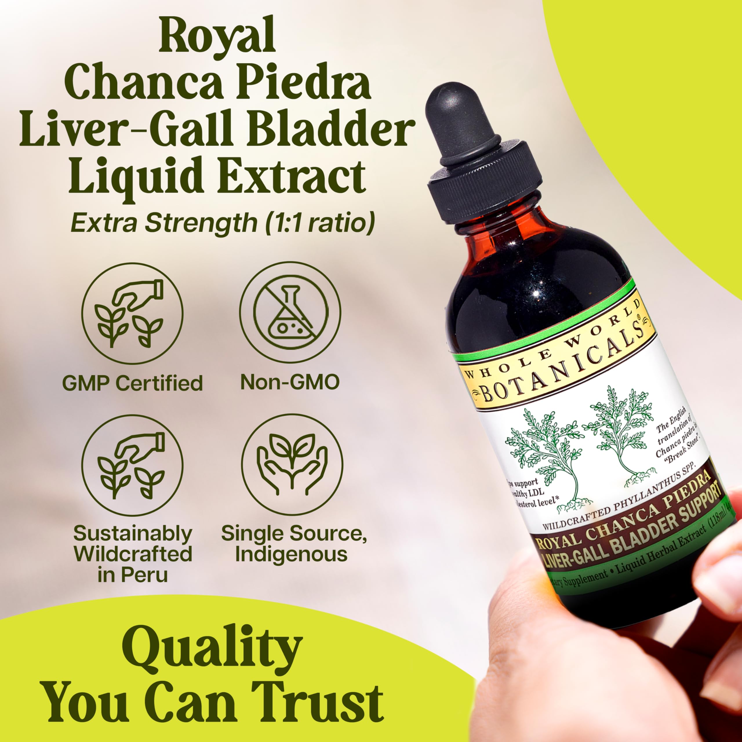 Whole World Botanicals Chanca Piedra Liquid Extract with a glass of water