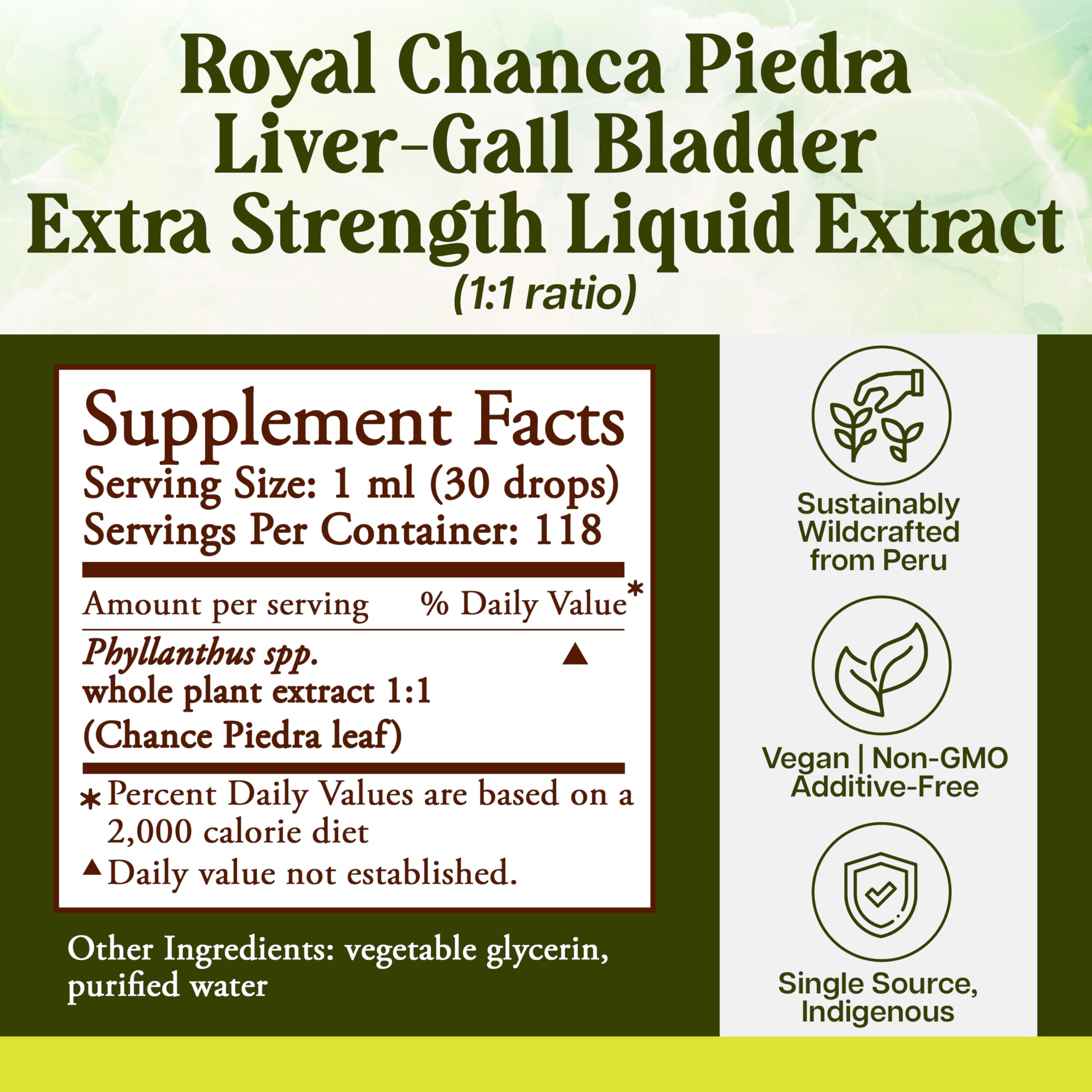 Whole World Botanicals Chanca Piedra Liquid Extract with dropper