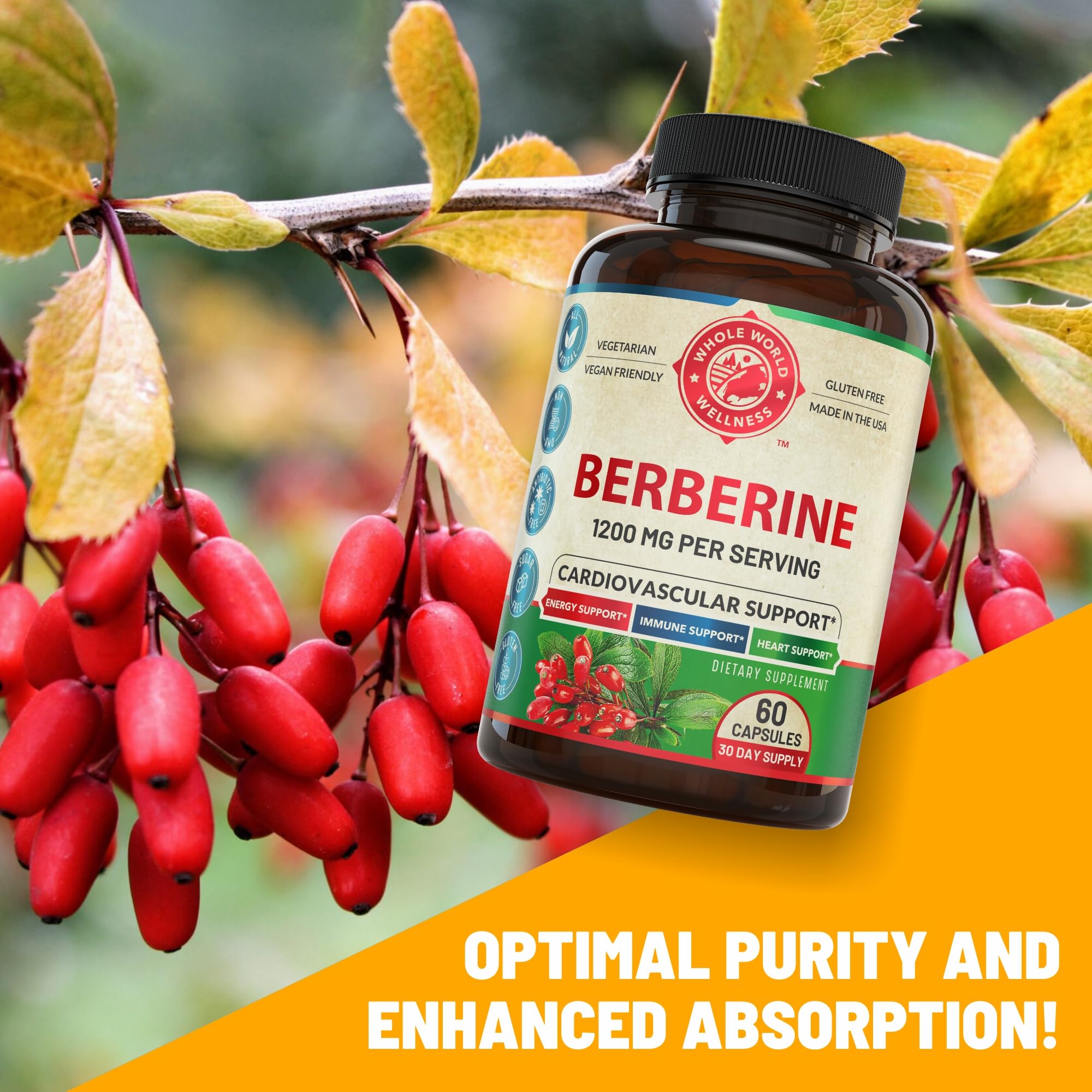 WHOLE WORLD WELLNESS Berberine Supplement 1200mg capsule bottle with label