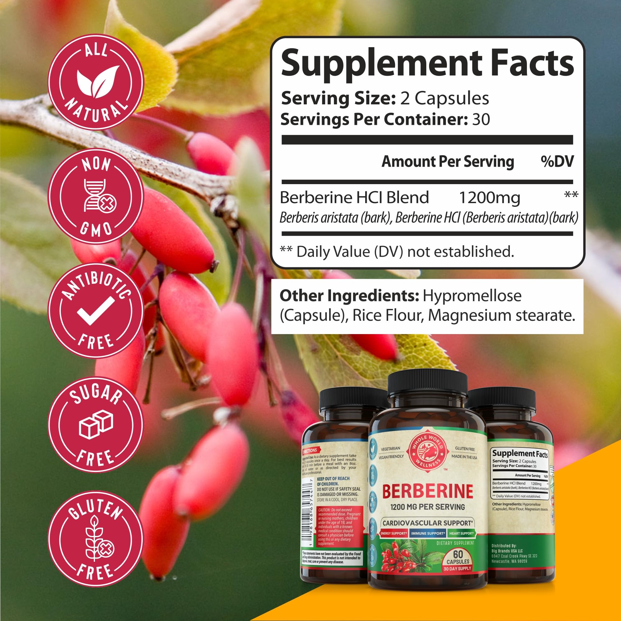 WHOLE WORLD WELLNESS Berberine Supplement 1200mg capsules with measuring spoon
