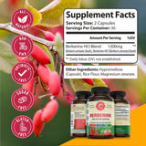 WHOLE WORLD WELLNESS Berberine Supplement 1200mg capsules with measuring spoon