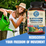 WHOLE WORLD WELLNESS Joint Support Supplement bottle with label