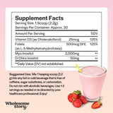 Wholesome Story Myo Inositol Powder back view with ingredient list