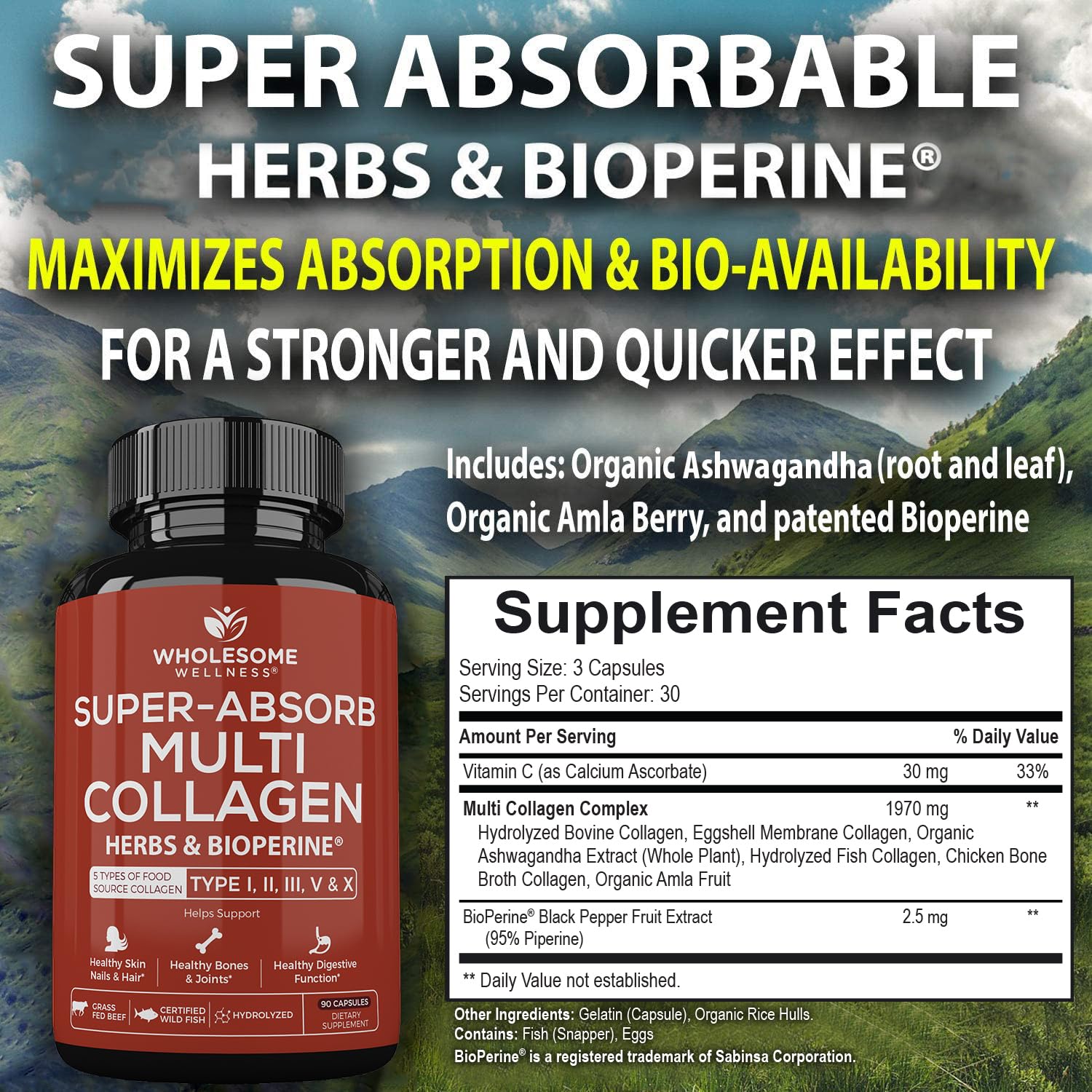 Wholesome Wellness Multi Collagen Capsules 100g back view
