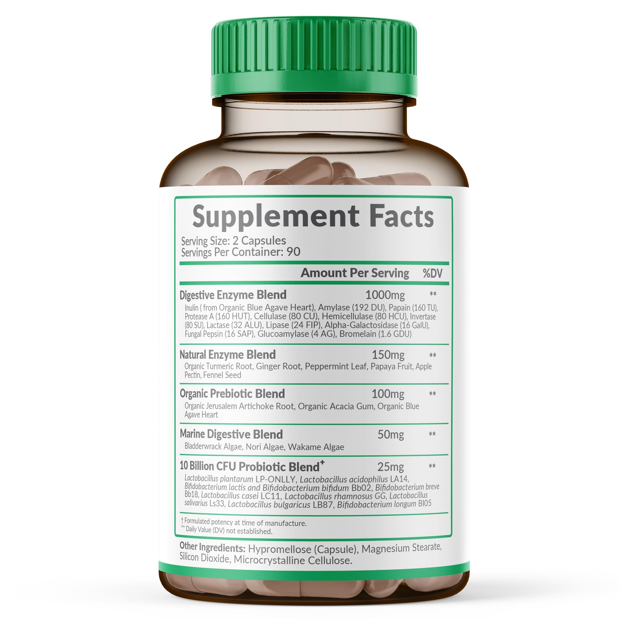 Wholesome Wellness Multi-Enzyme Supplement 1000 MG back view