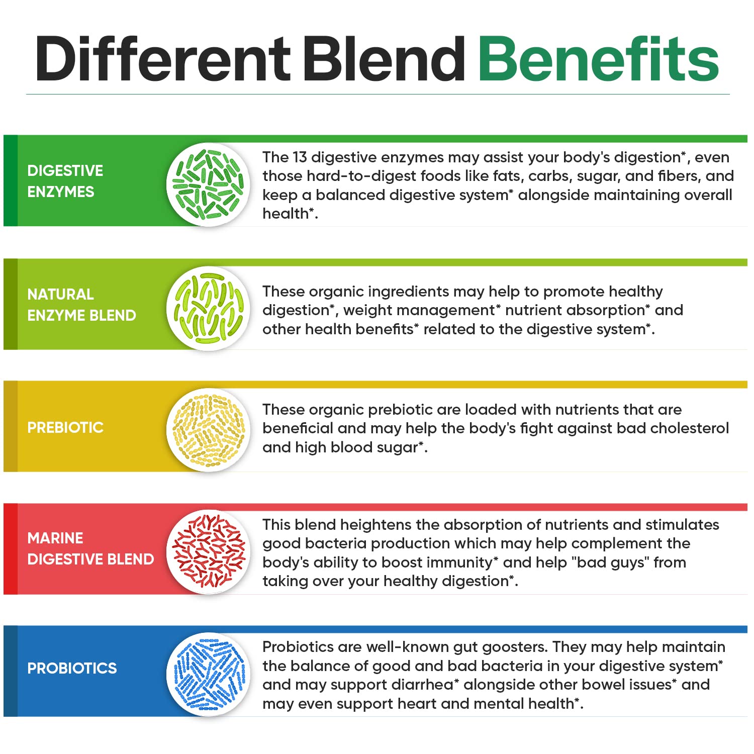 Wholesome Wellness Multi-Enzyme Supplement 1000 MG label close-up