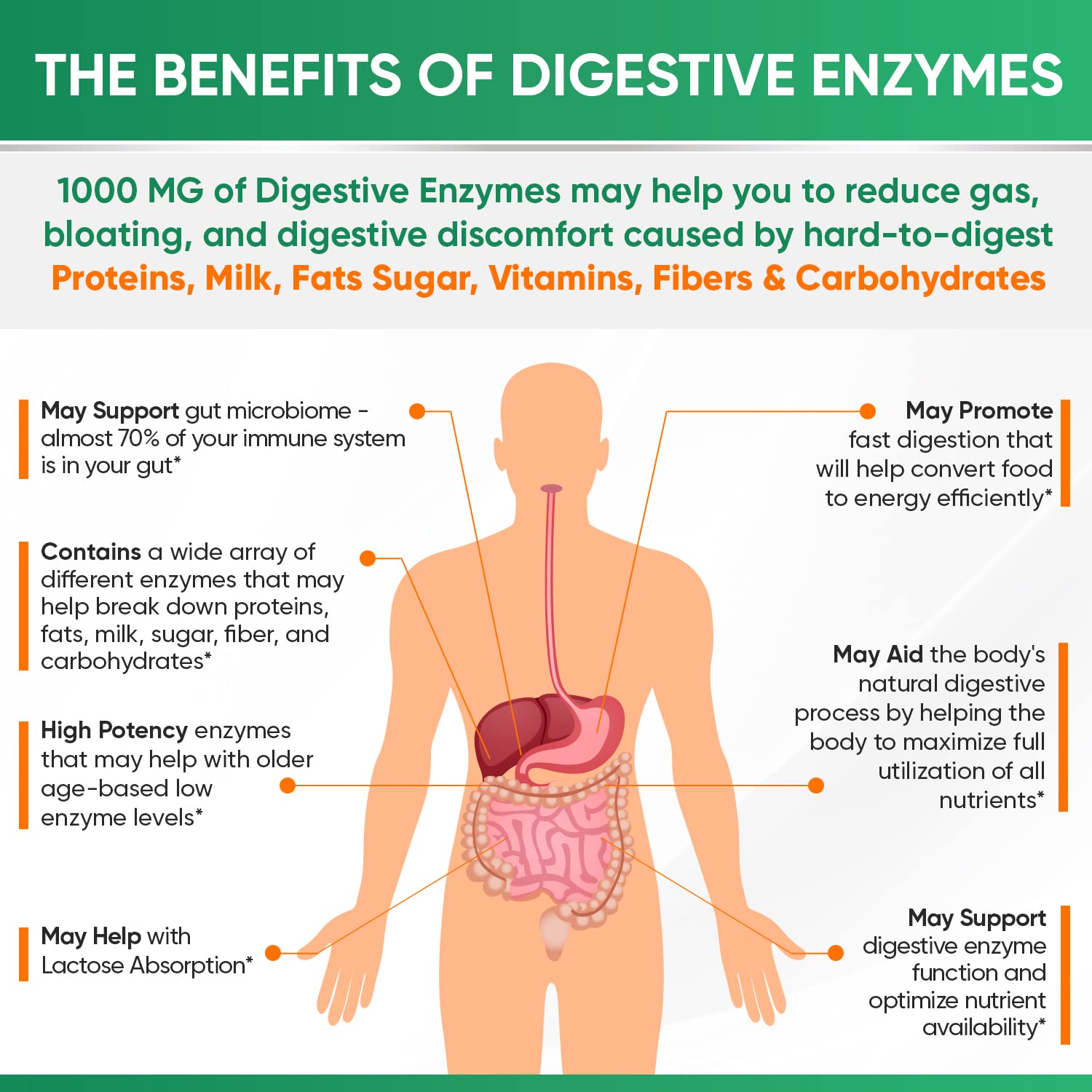 Wholesome Wellness Multi-Enzyme Supplement 1000 MG with organic ingredients