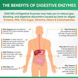 Wholesome Wellness Multi-Enzyme Supplement 1000 MG with organic ingredients