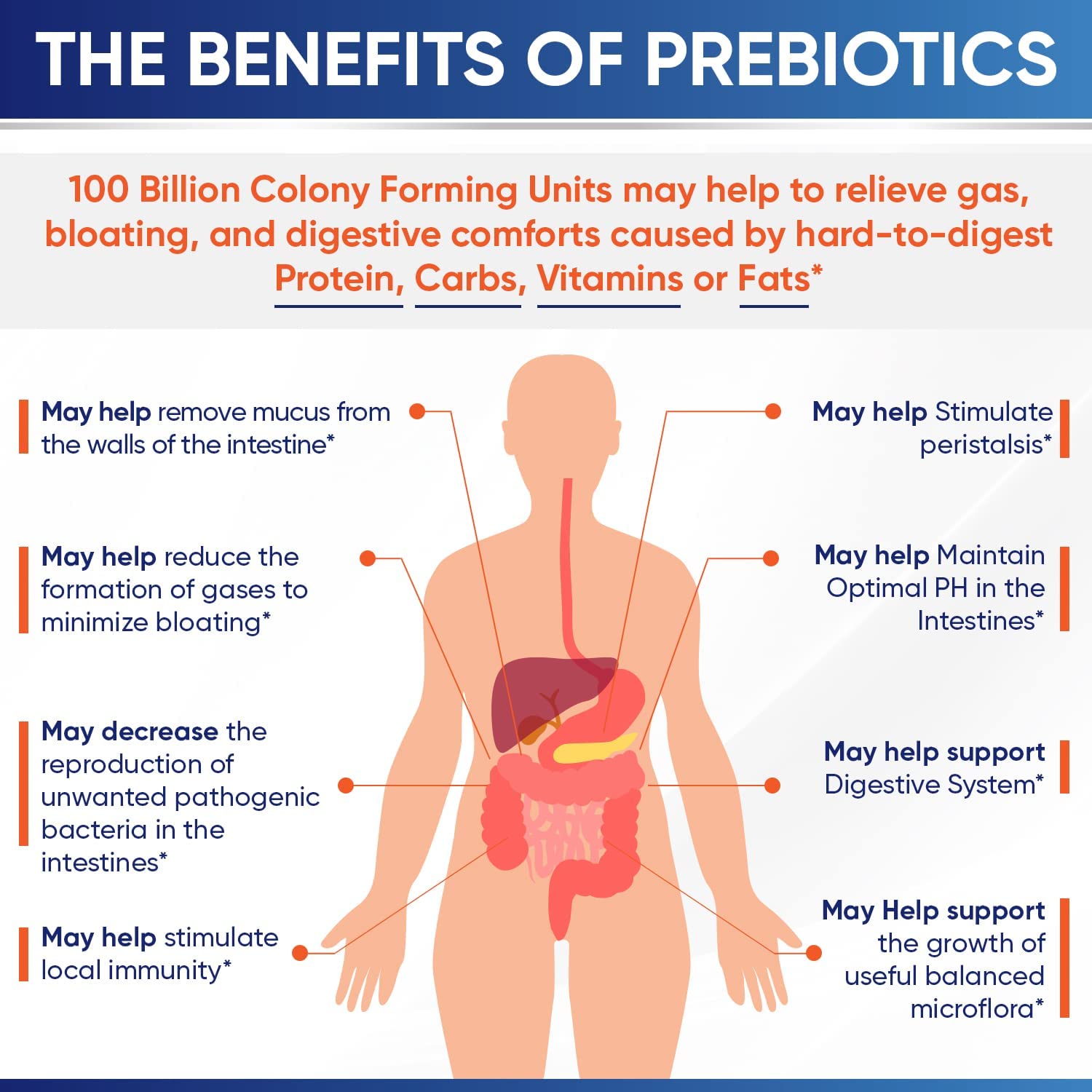 Wholesome Wellness Probiotic Supplement packaging details