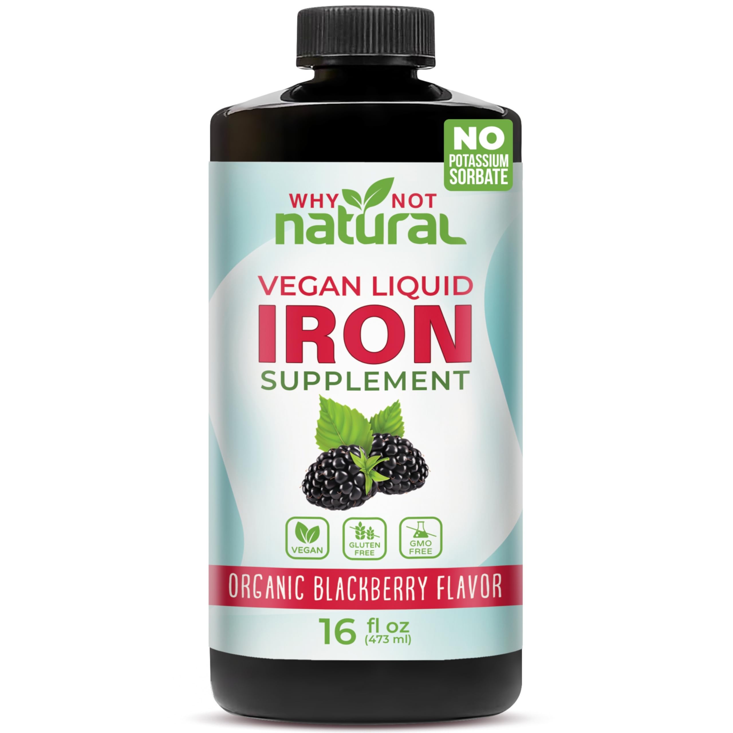 Why Not Natural Liquid Iron Supplement 572g front view
