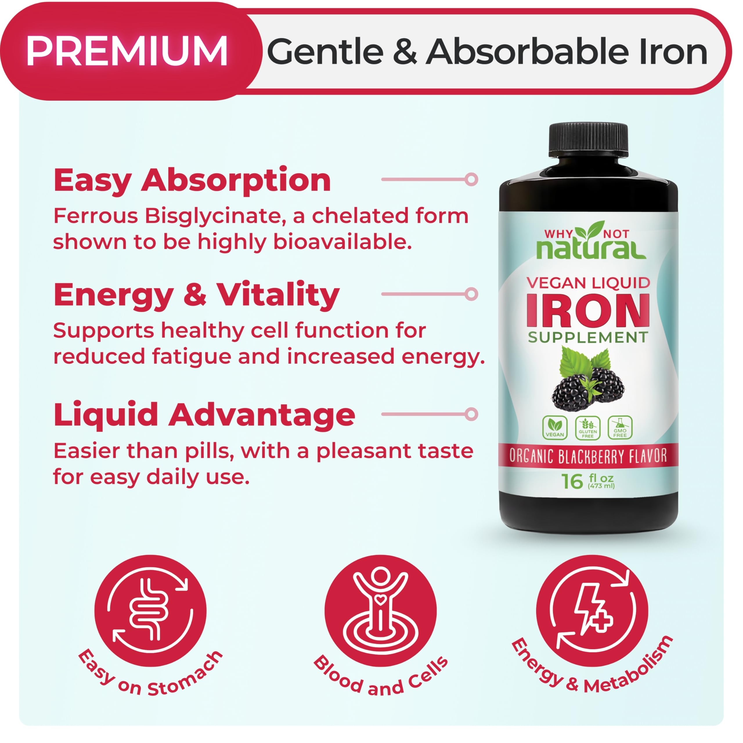 Why Not Natural Liquid Iron Supplement 572g packaging