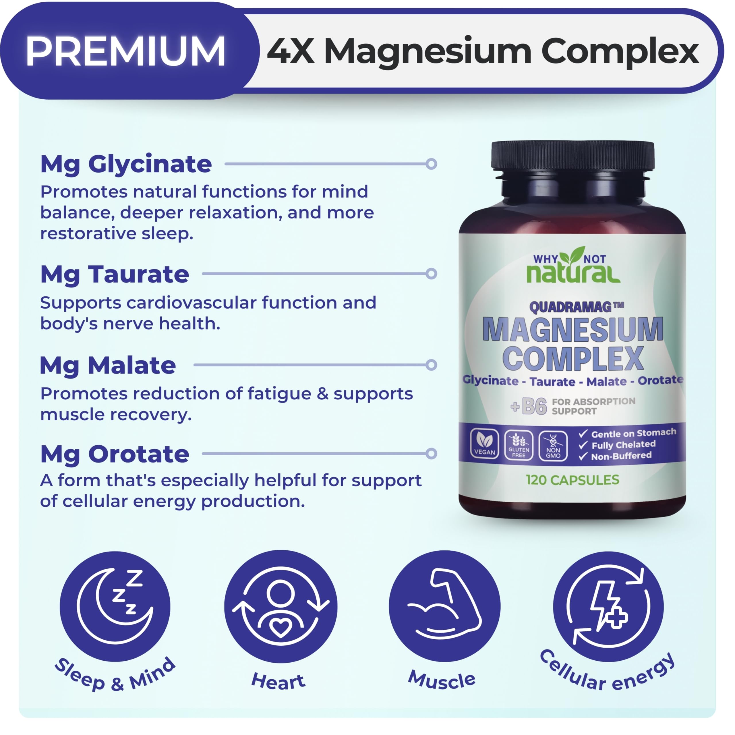 Why Not Natural Magnesium Complex 150g side view