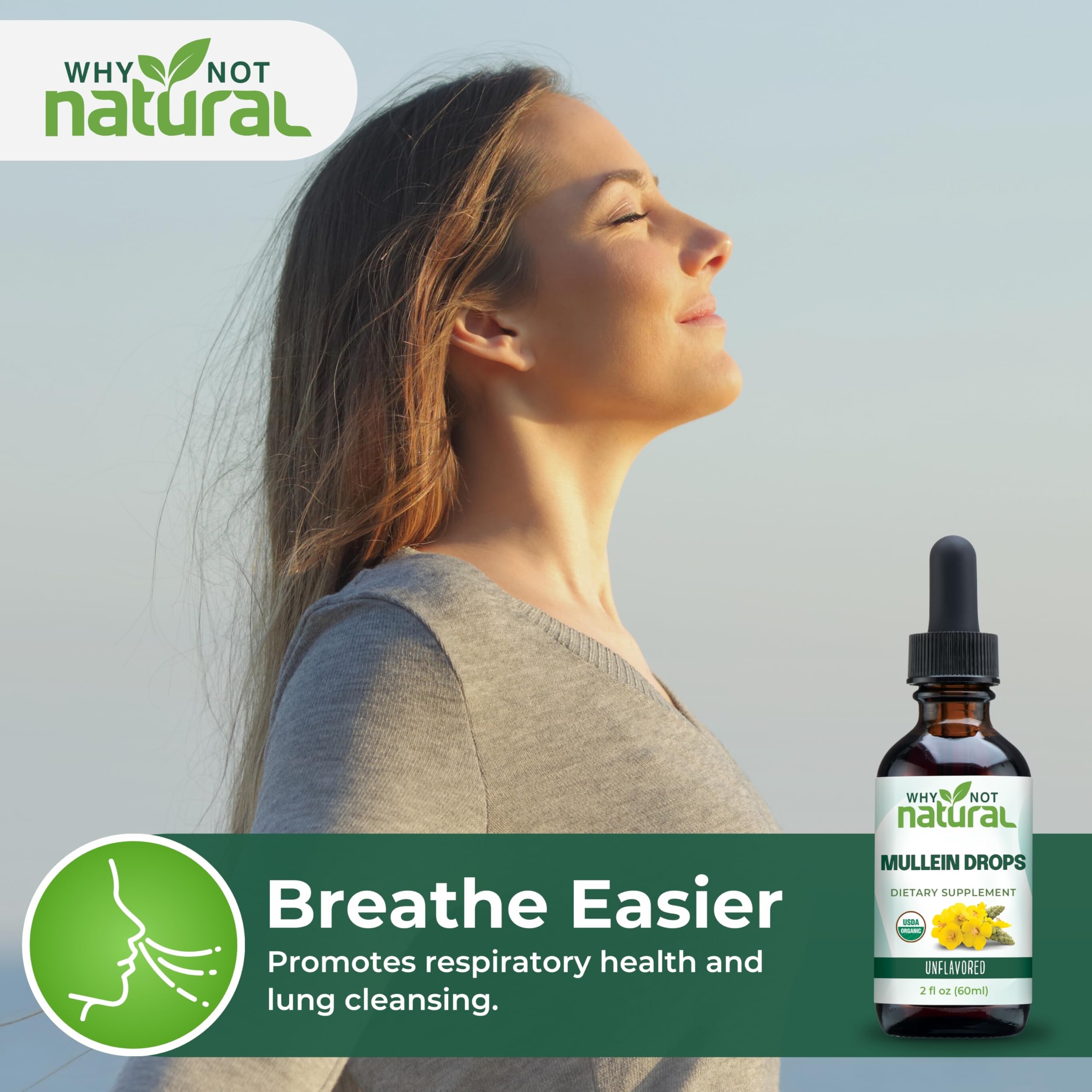 Why Not Natural Mullein Leaf Tincture dropper with liquid