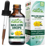 Why Not Natural Mullein Leaf Tincture front view with label