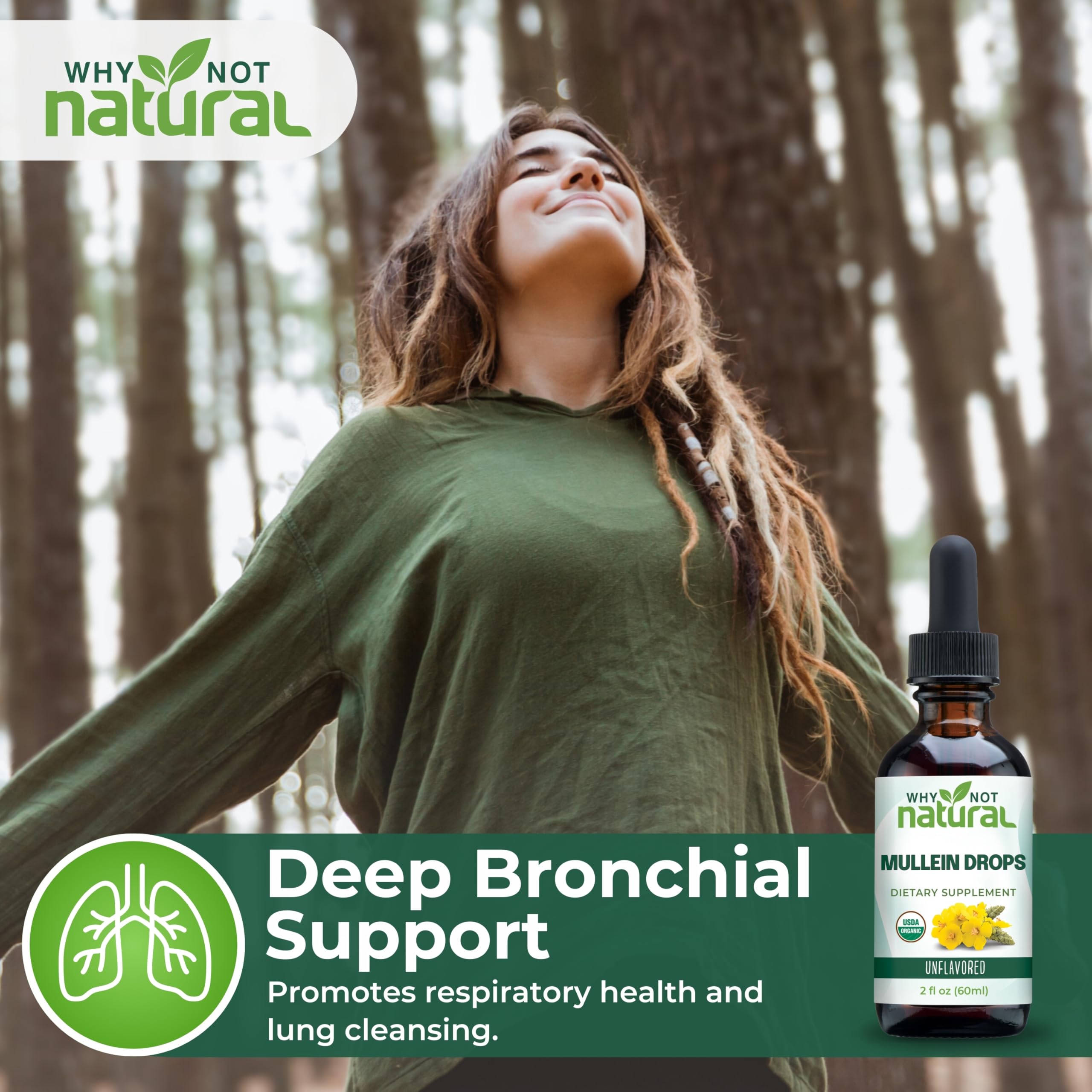 Why Not Natural Mullein Leaf Tincture with herbal background