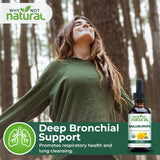 Why Not Natural Mullein Leaf Tincture with herbal background