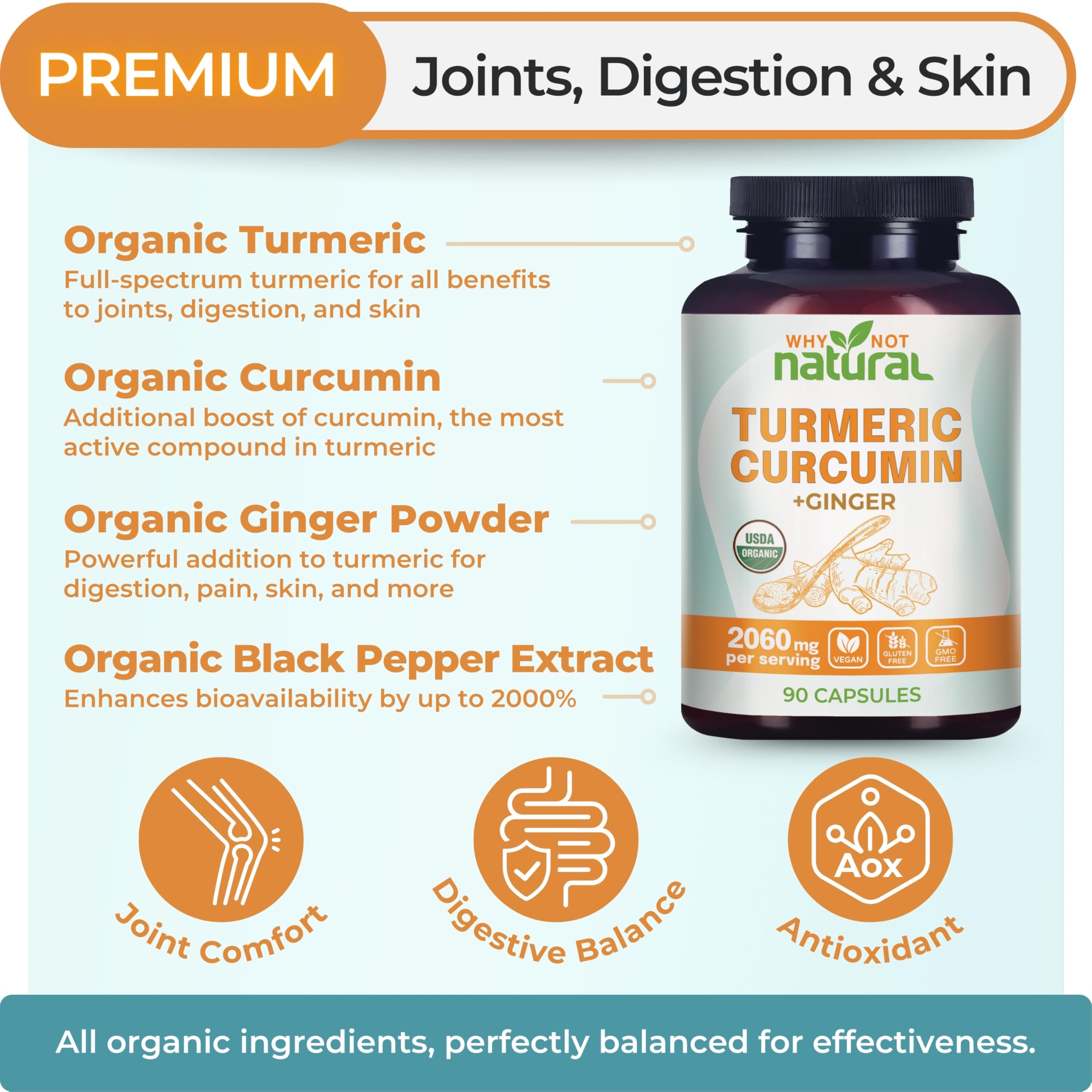 Why Not Natural Turmeric Supplement 100g back view