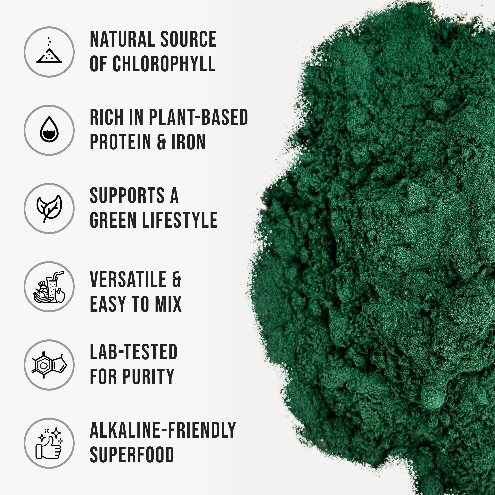 WHYZ Organic Chlorella Powder fine texture close-up