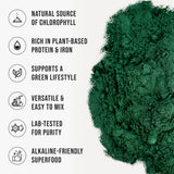 WHYZ Organic Chlorella Powder in a bowl