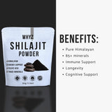 WHYZ Shilajit Powder mixed in a smoothie