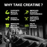 WILD FIELD HEALTH Micronized Creatine Monohydrate stick pack on gym bench