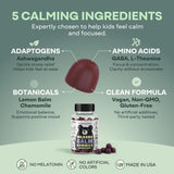 Wild Foods Calming Gummies for Kids ingredients list