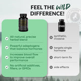 Wild Foods Herbal Stack for Man 109g with other supplements