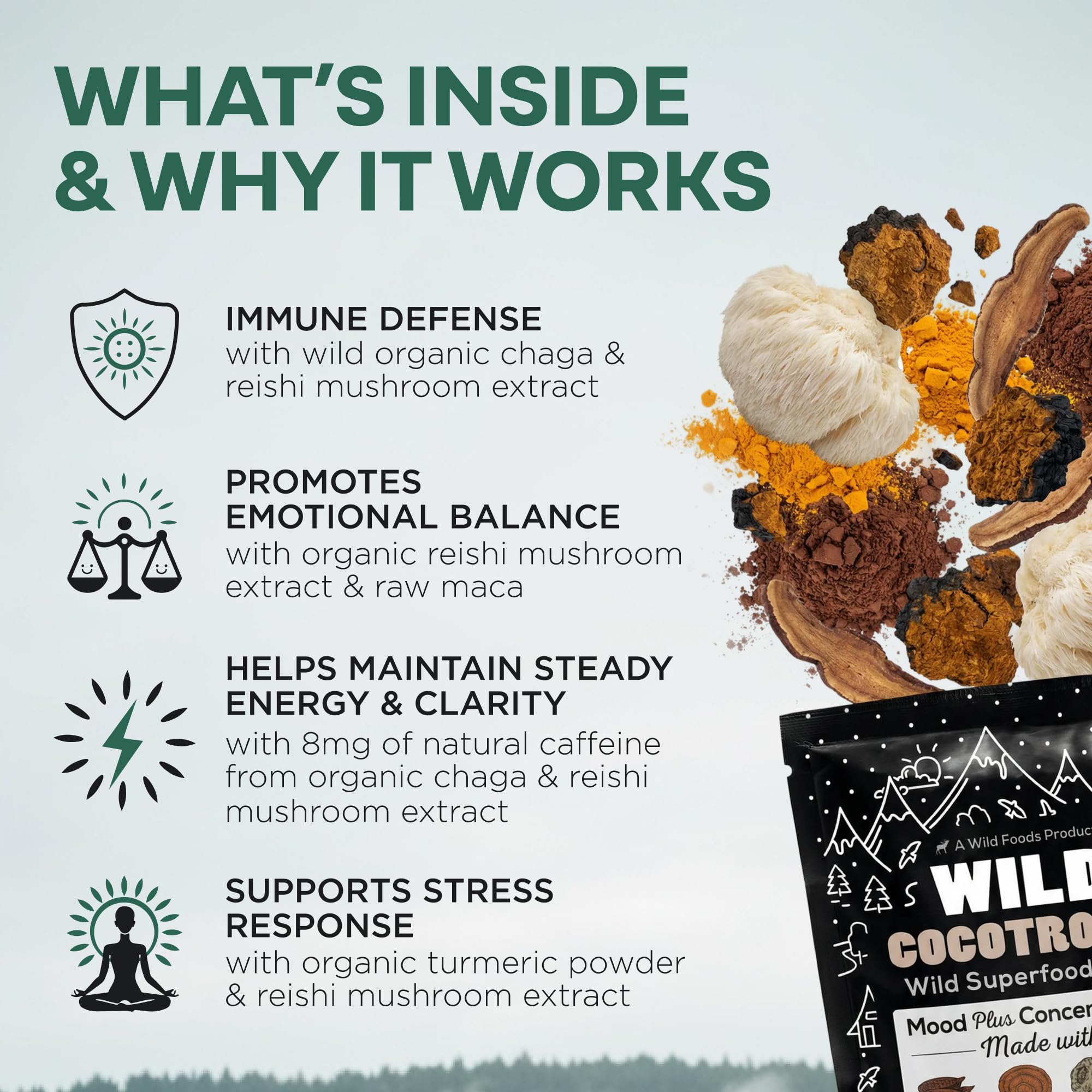 Wild Foods Mushroom Cacao Hot Chocolate packaging side view