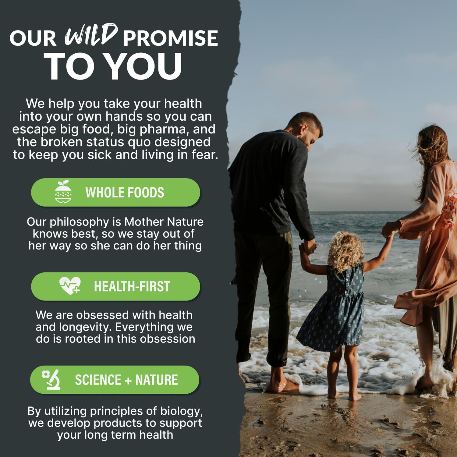 Wild Foods Probiotics & Prebiotics 50g on a kitchen counter